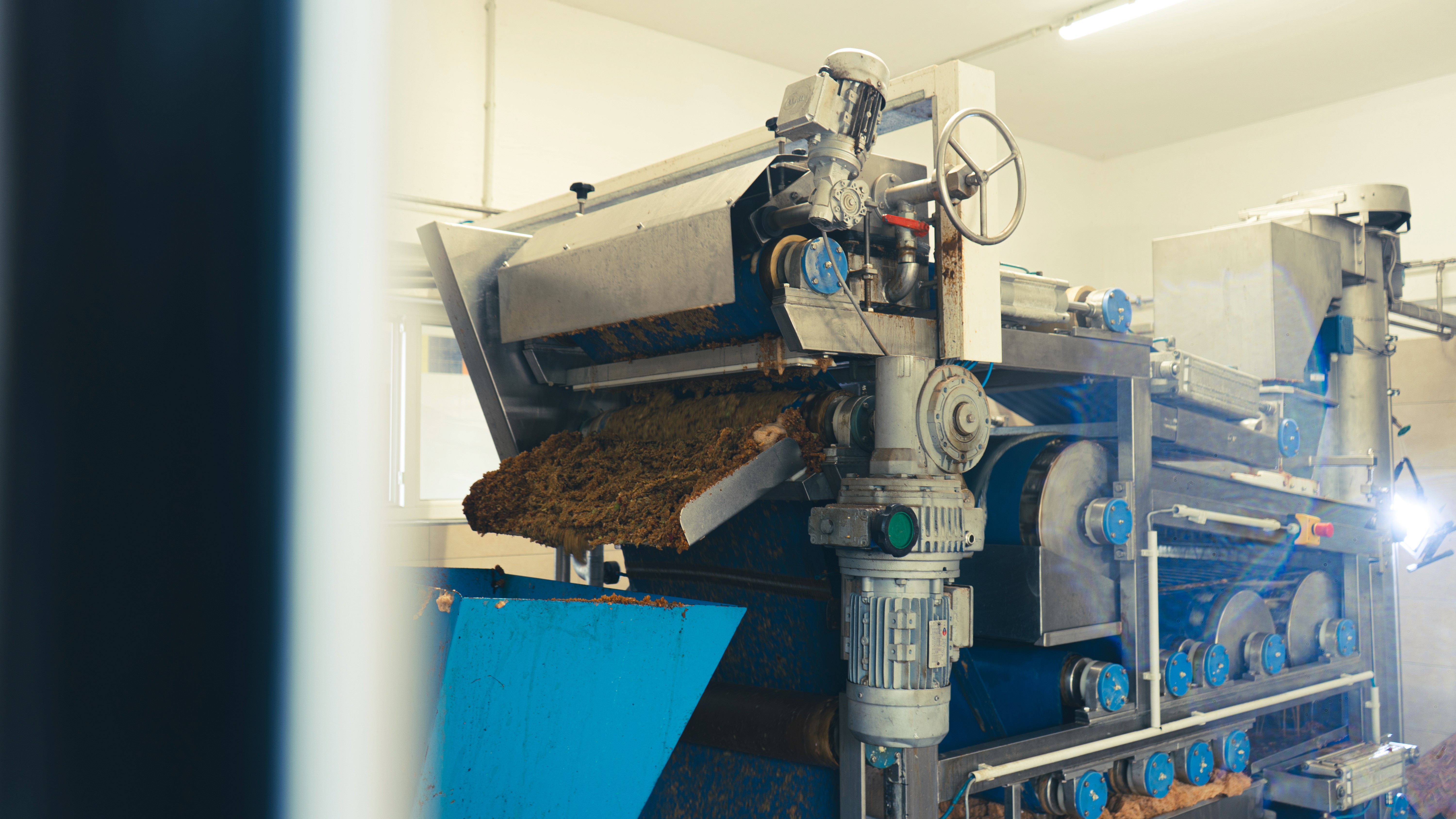 Group of men surfing