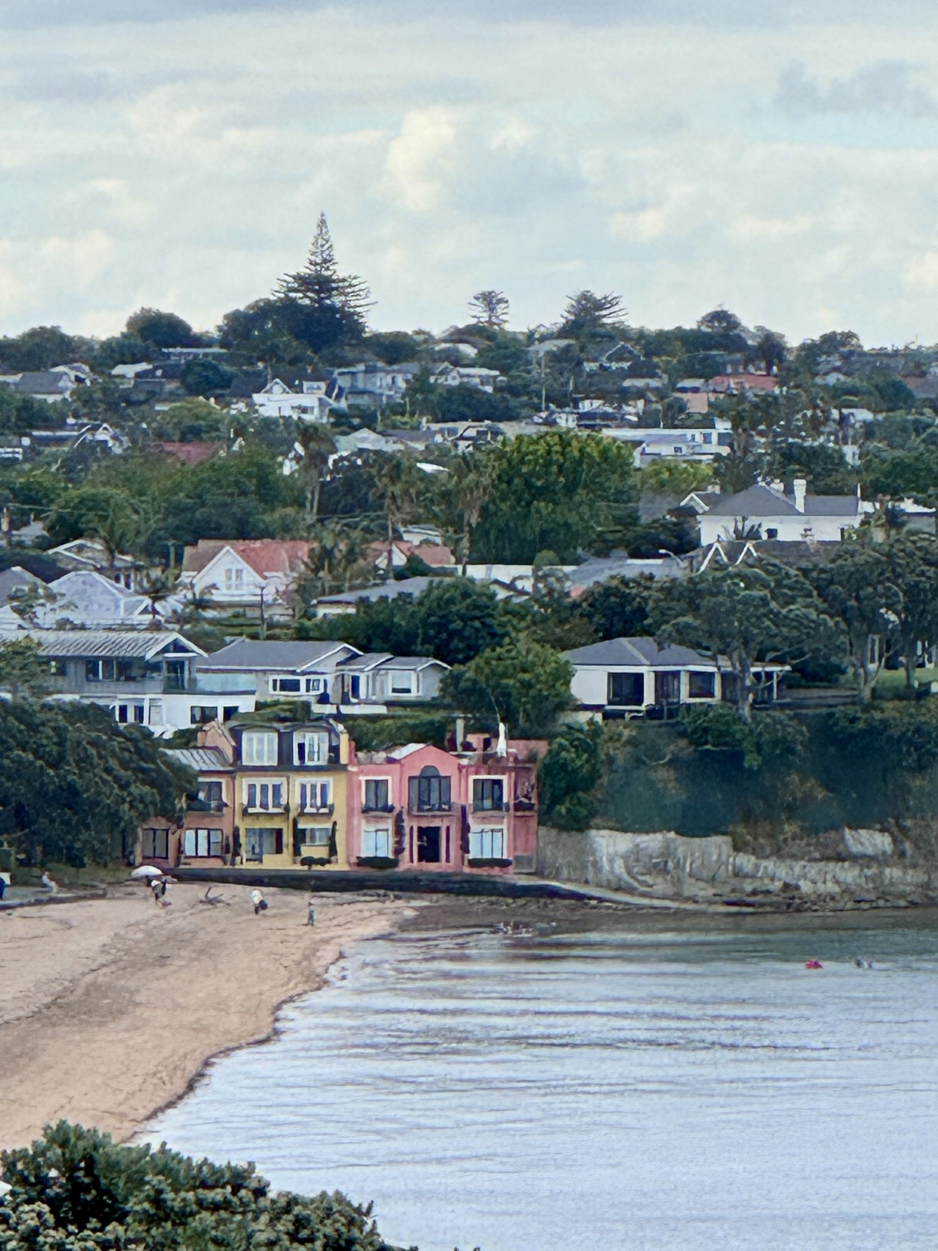The 3 townhomes as seen from Maungauika