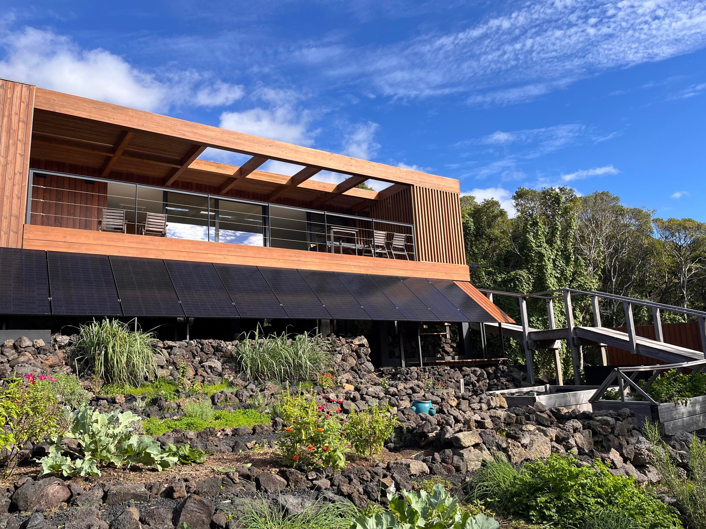 View of the photovoltaic solar panels on the main house in the background, with a wild herb garden in the foreground