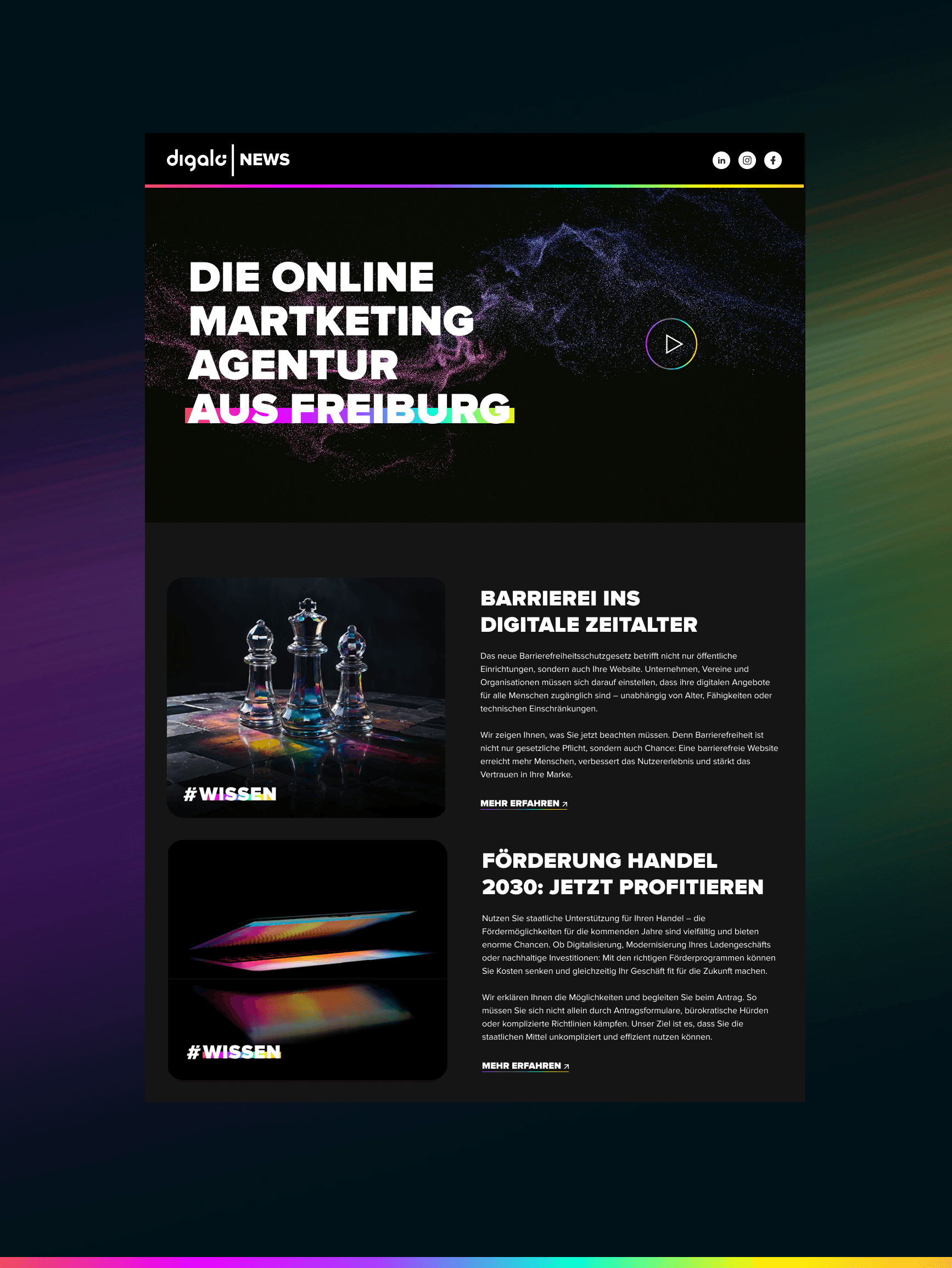 dark green leaves of coniferous plants