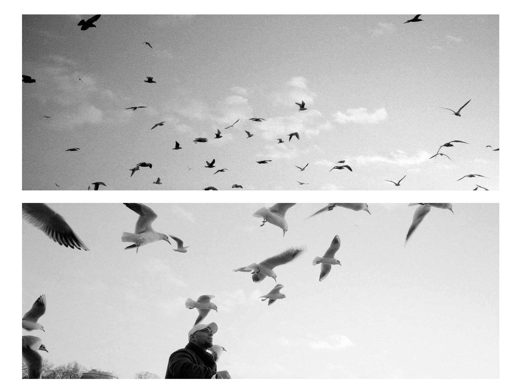 Two different photos of almost the same time, one where the grain is clearly visible and one where the grain is almost unnoticeable. 
