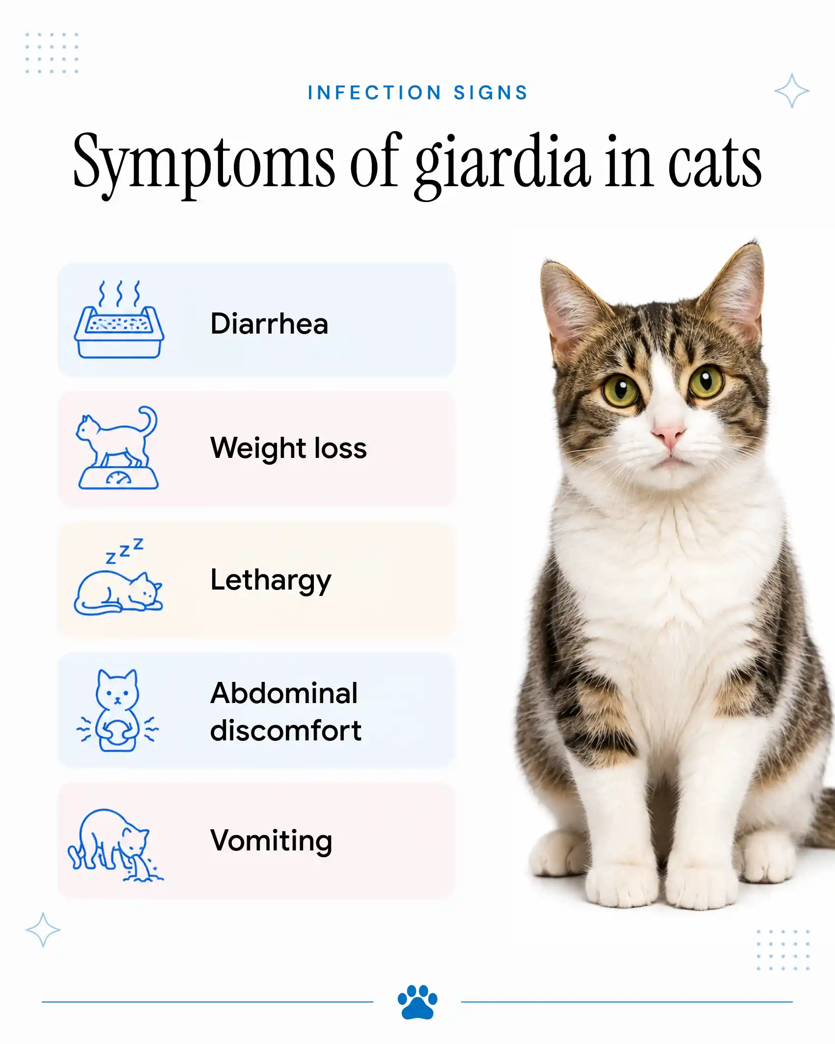 An infographic showing a cat being checked by vets and highlighting the symptoms of Giardia in cats.