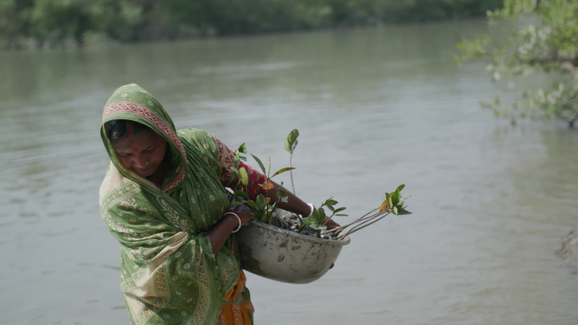 Women workers engaged in mangrove restoration as part of a climate resilience initiative in the Sundarbans.