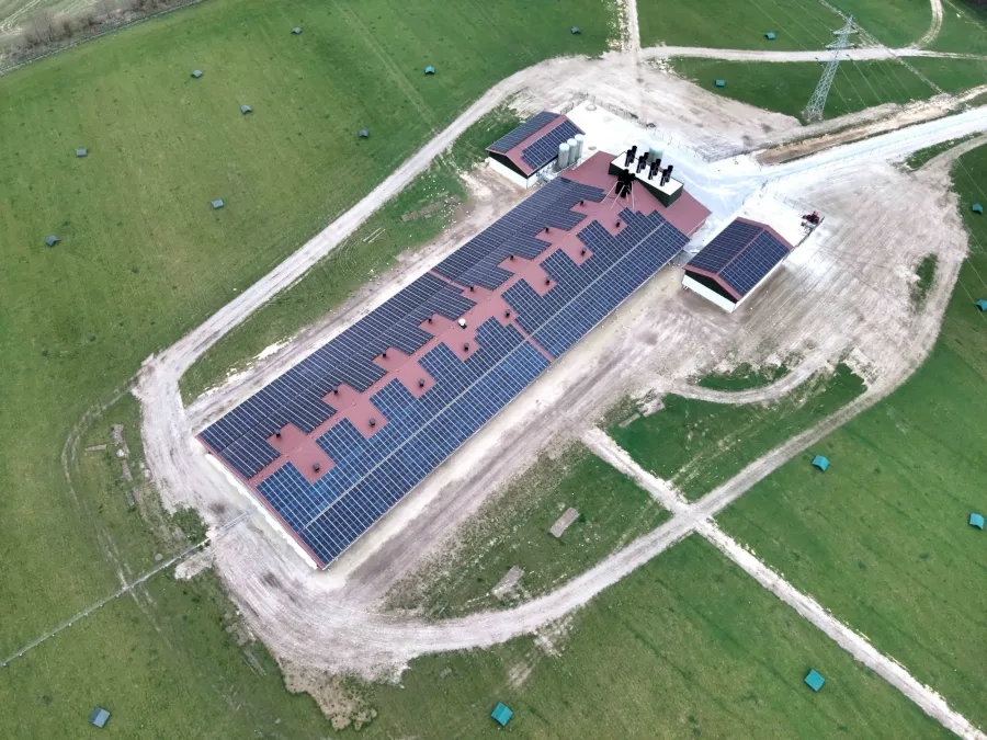 Großes Dach mit Solarmodulen und Lüftungstürmen auf einem landwirtschaftlichen Gebäude.