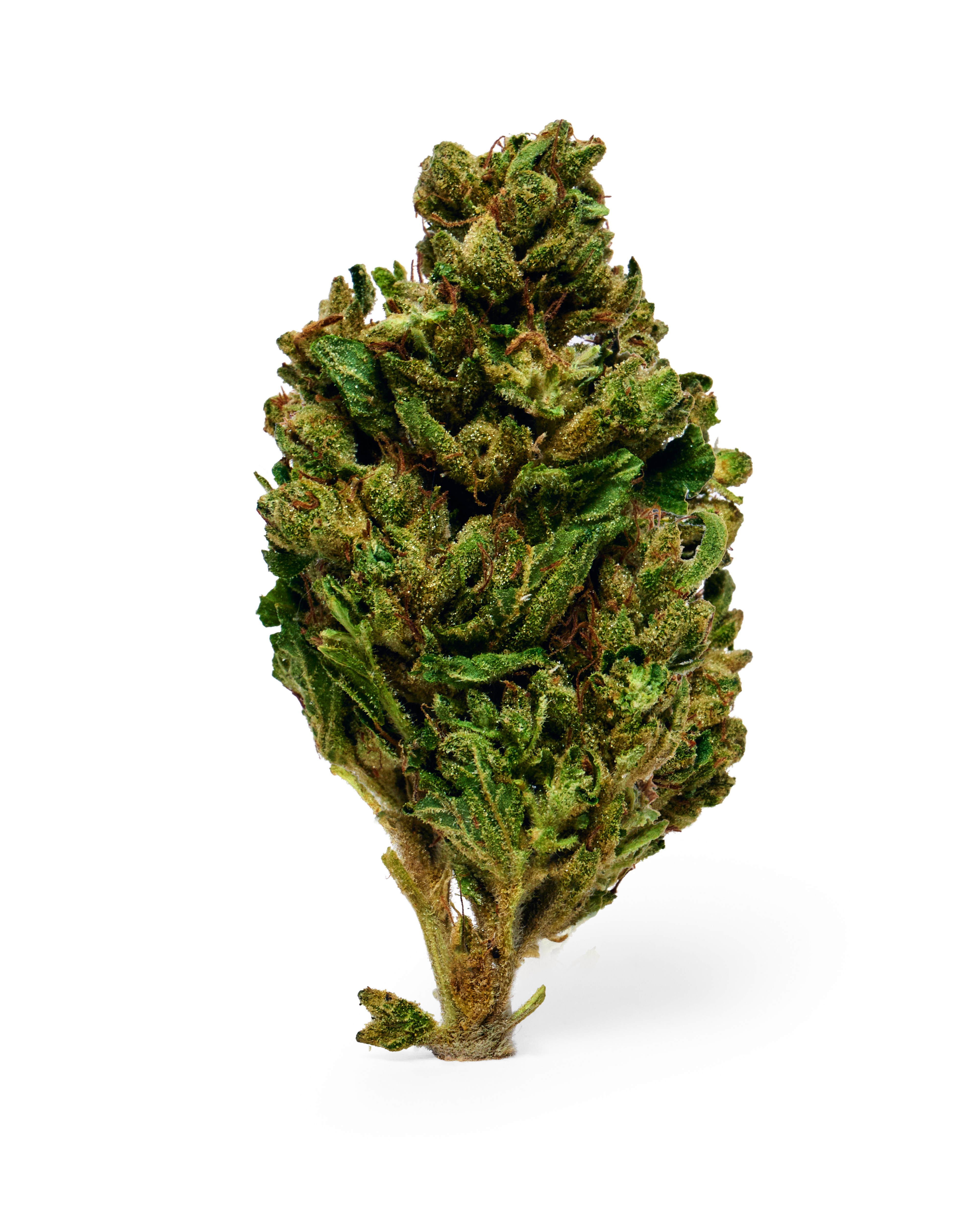 Dada Exotics | Exotic Cannabis Flower | Grown Rare