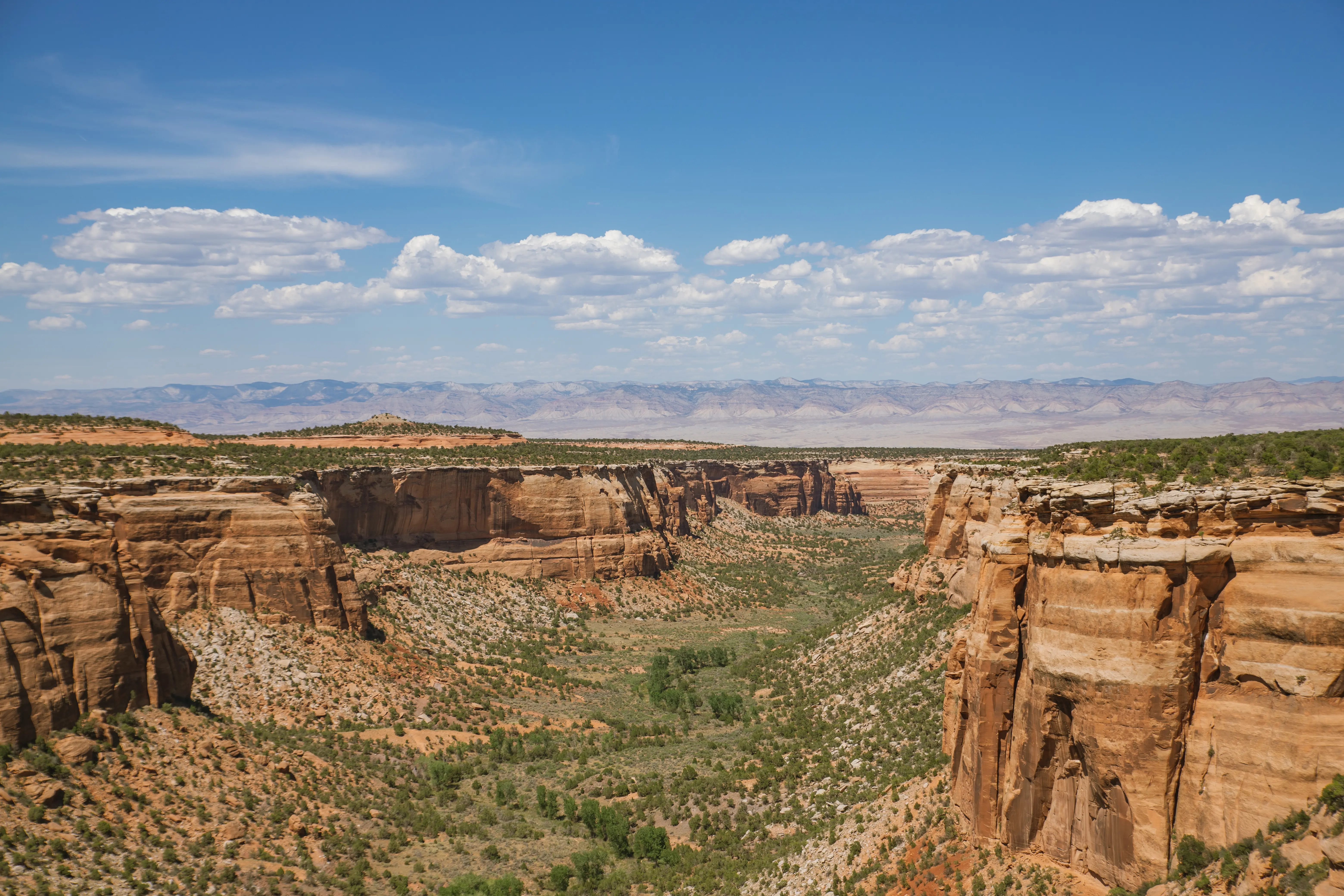 Streetside billboard with flyposters of the Batch.Works brand and illustrations