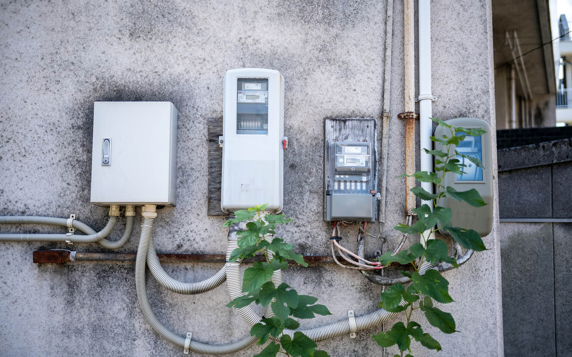 Don't Ignore These Signs of a Plumber