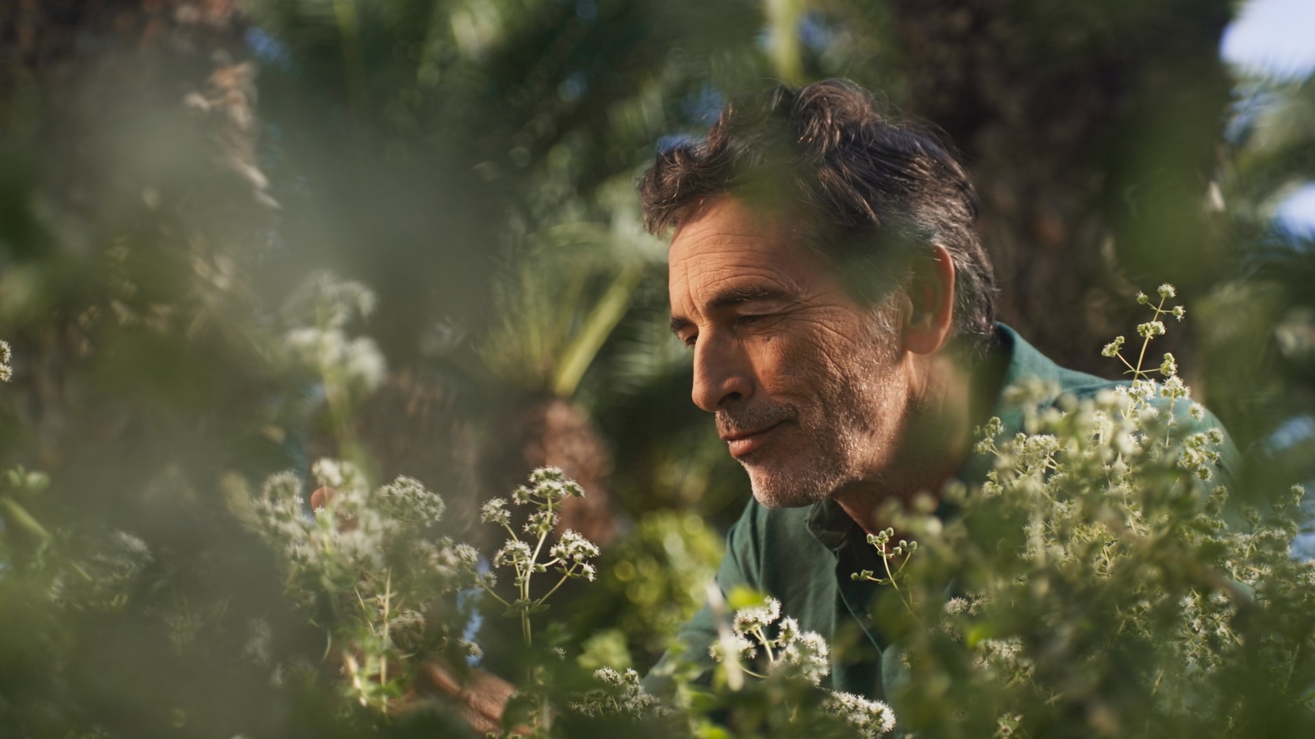 A man is smelling the flowers on a hotel garden