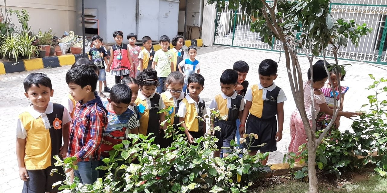 NCFE students leading a clean-up green mission on World Environment Day