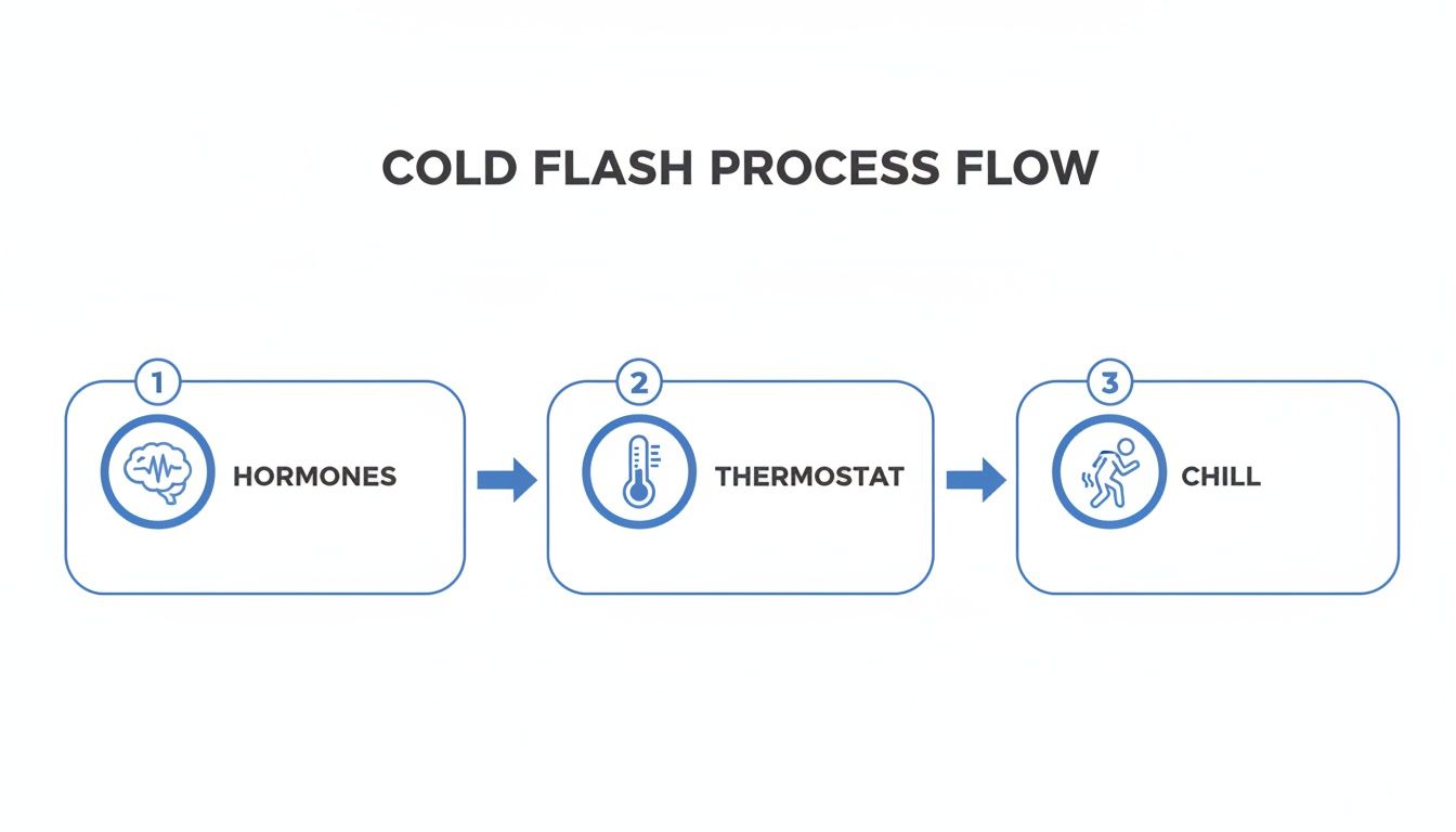 A process flow diagram illustrates cold flashes, showing hormones affecting the body's thermostat, which leads to a chill.