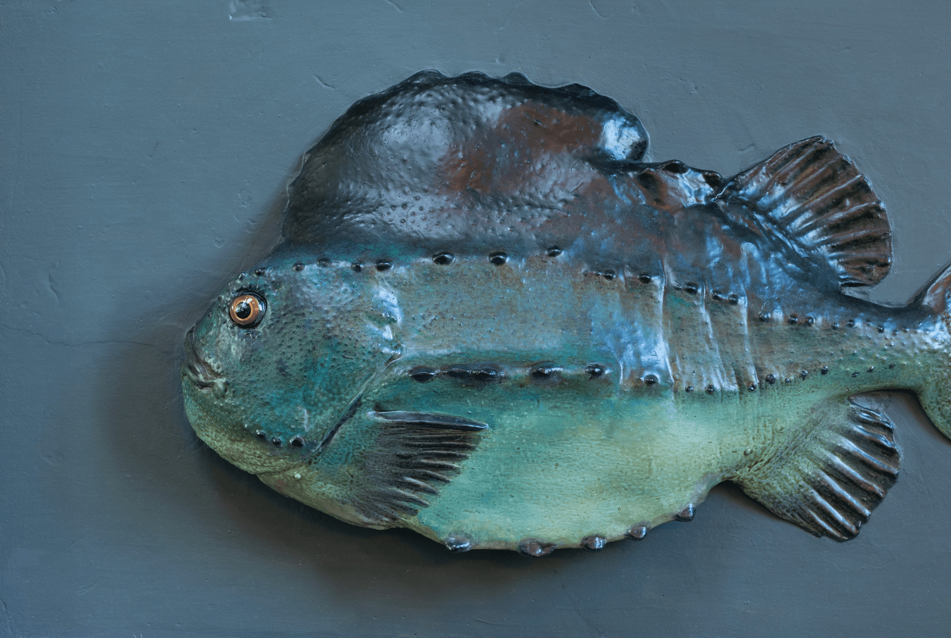 Nærbilde av modell av Rognkjeks (fisk) på blå bakgrunn