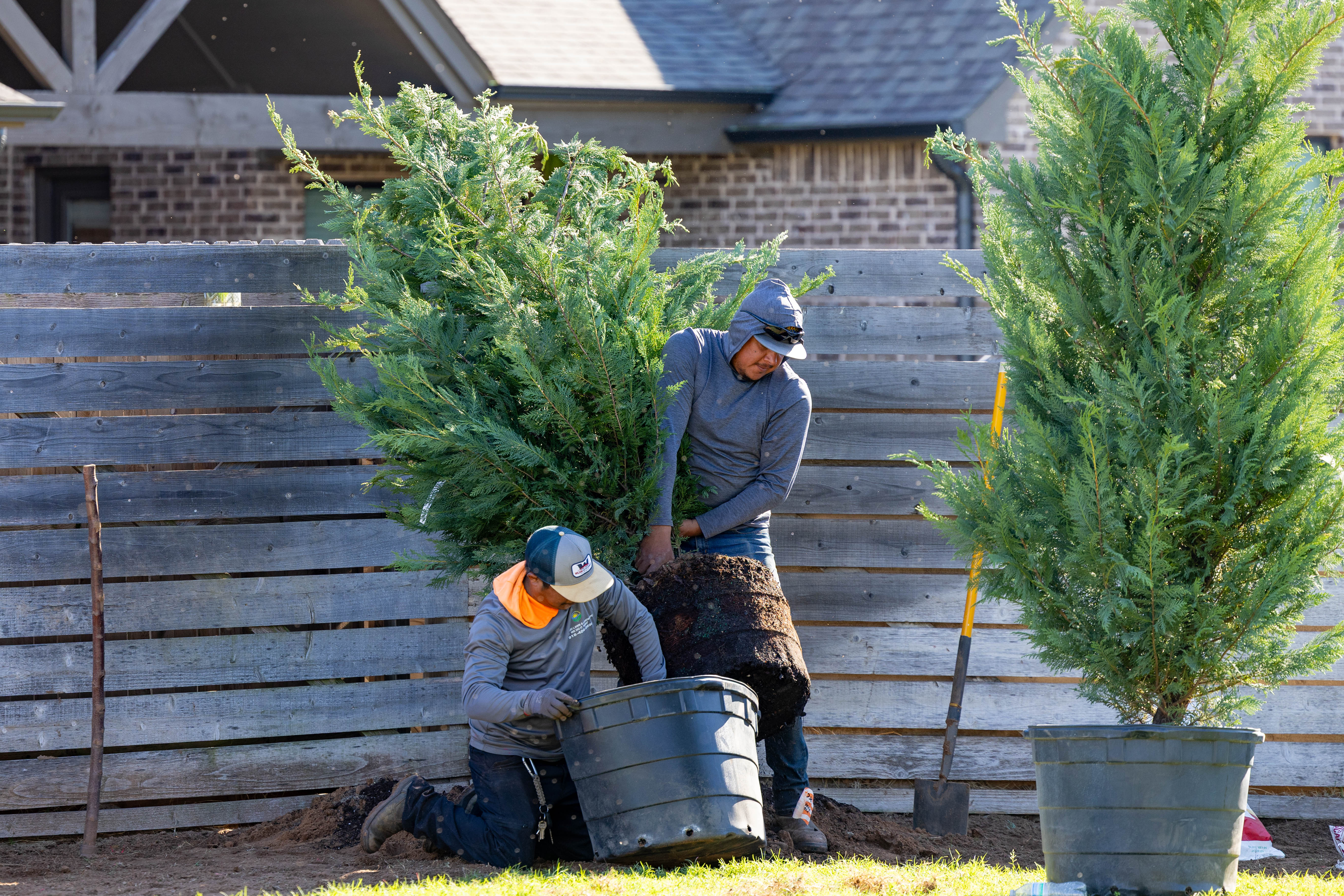 Gardener team at work