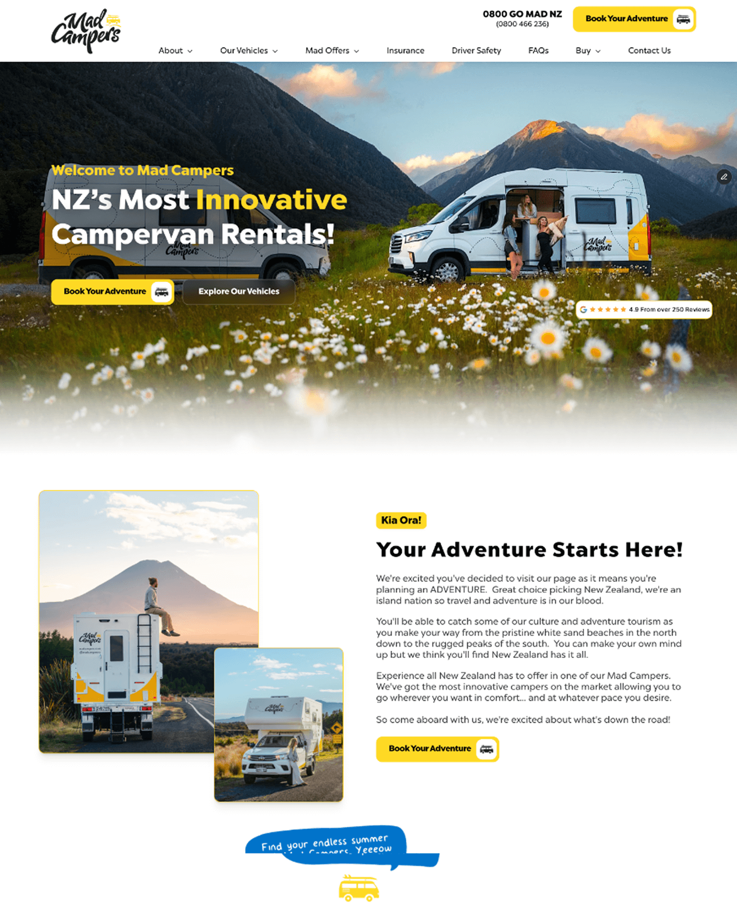 Screen capture of a website design for a Plumber