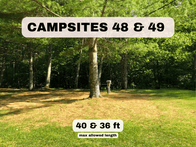 Campsites 48 and 49 at Pine Hollow Campground, featuring wooded RV pads with 40ft and 36ft max allowed lengths