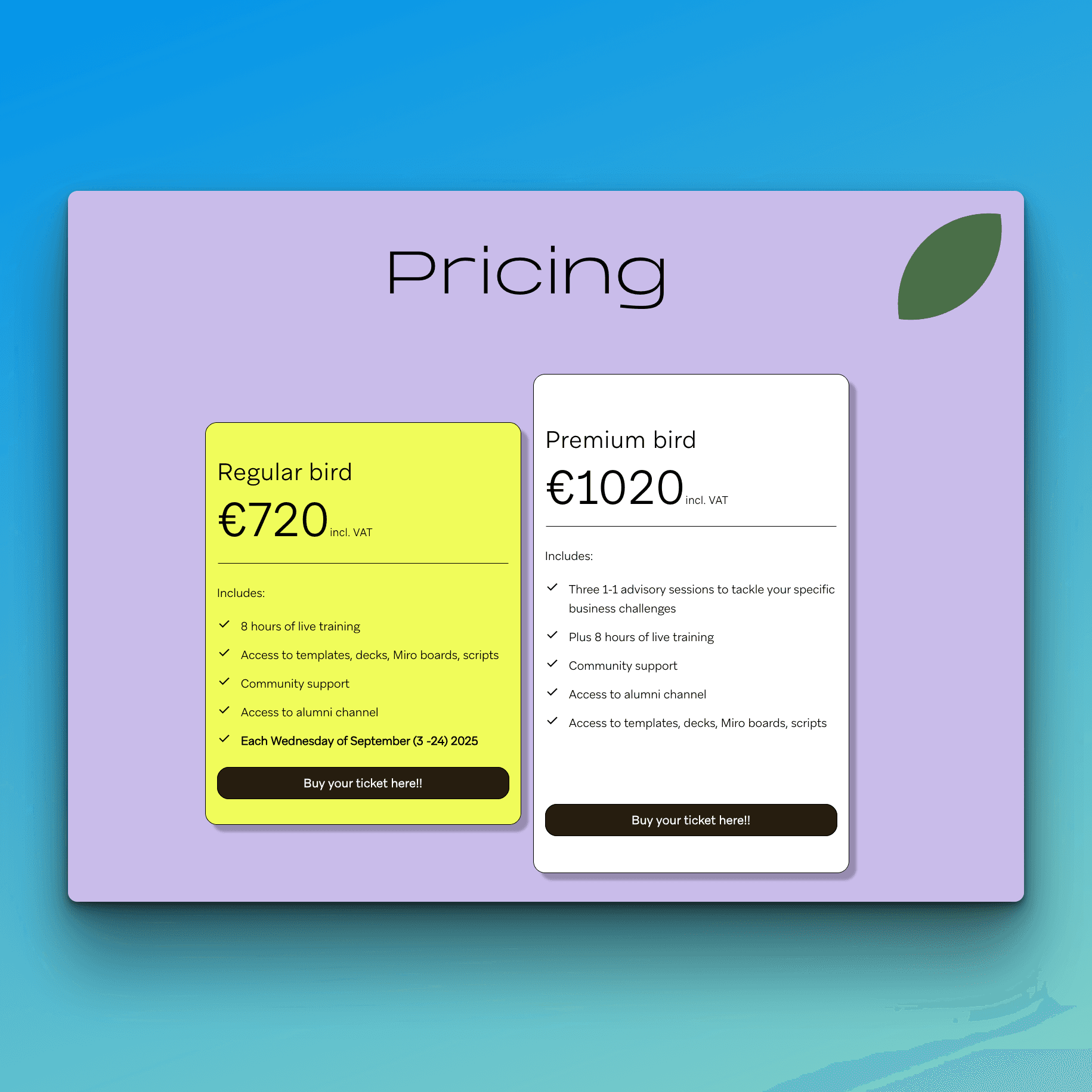Screenshot sales for freelancers com pricing section