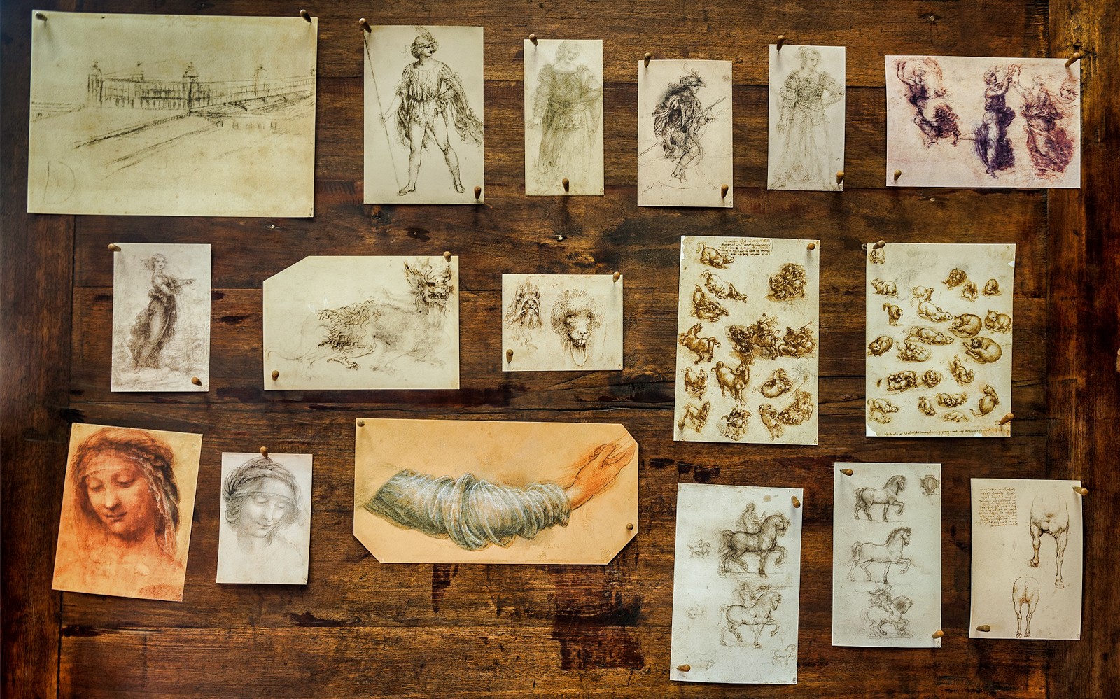 Leonardo da Vinci sketches displayed at a museum in the Loire Valley.