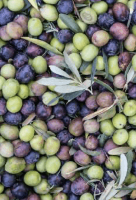 glass beauty products