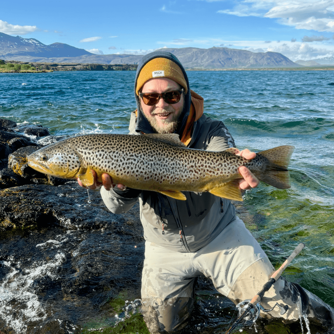 Island, Brown Trout, Arctic char, fjeldørred