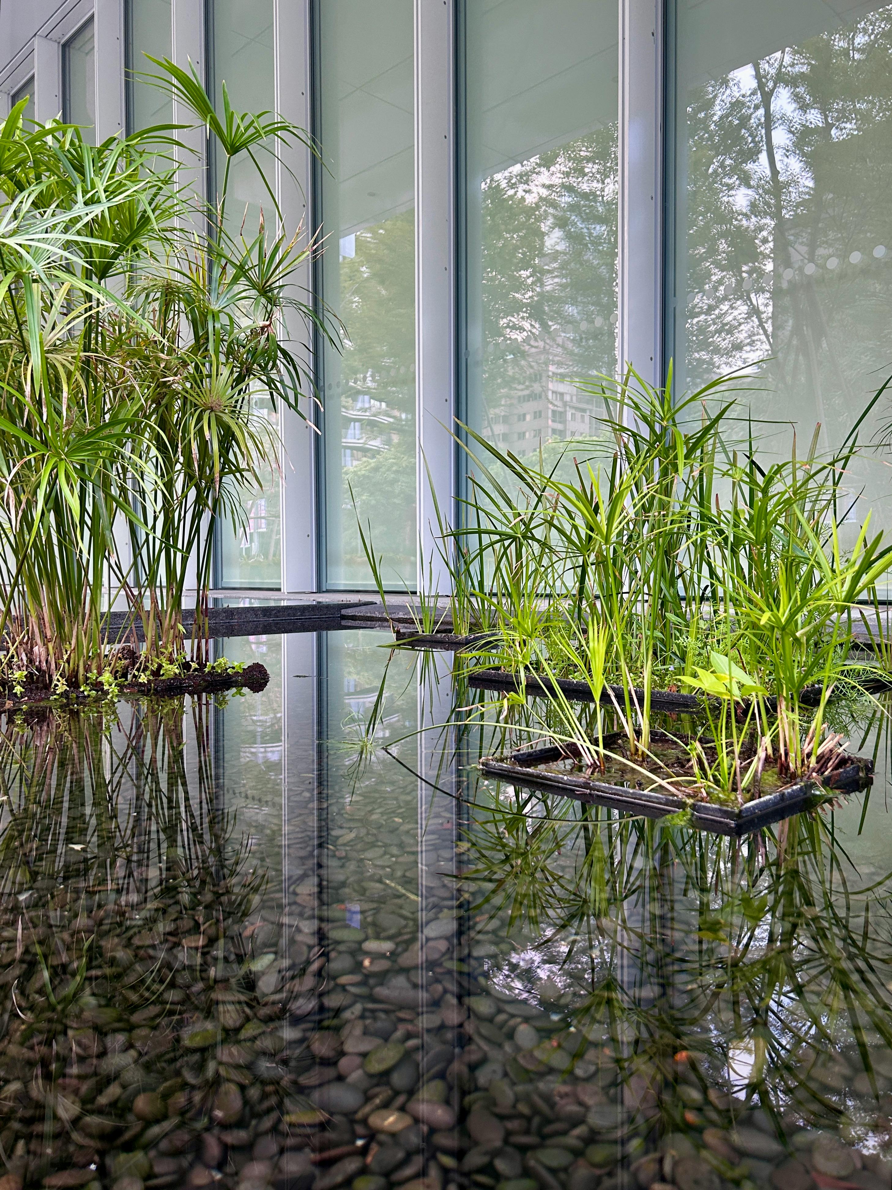 The ninth Image of the Nature album project