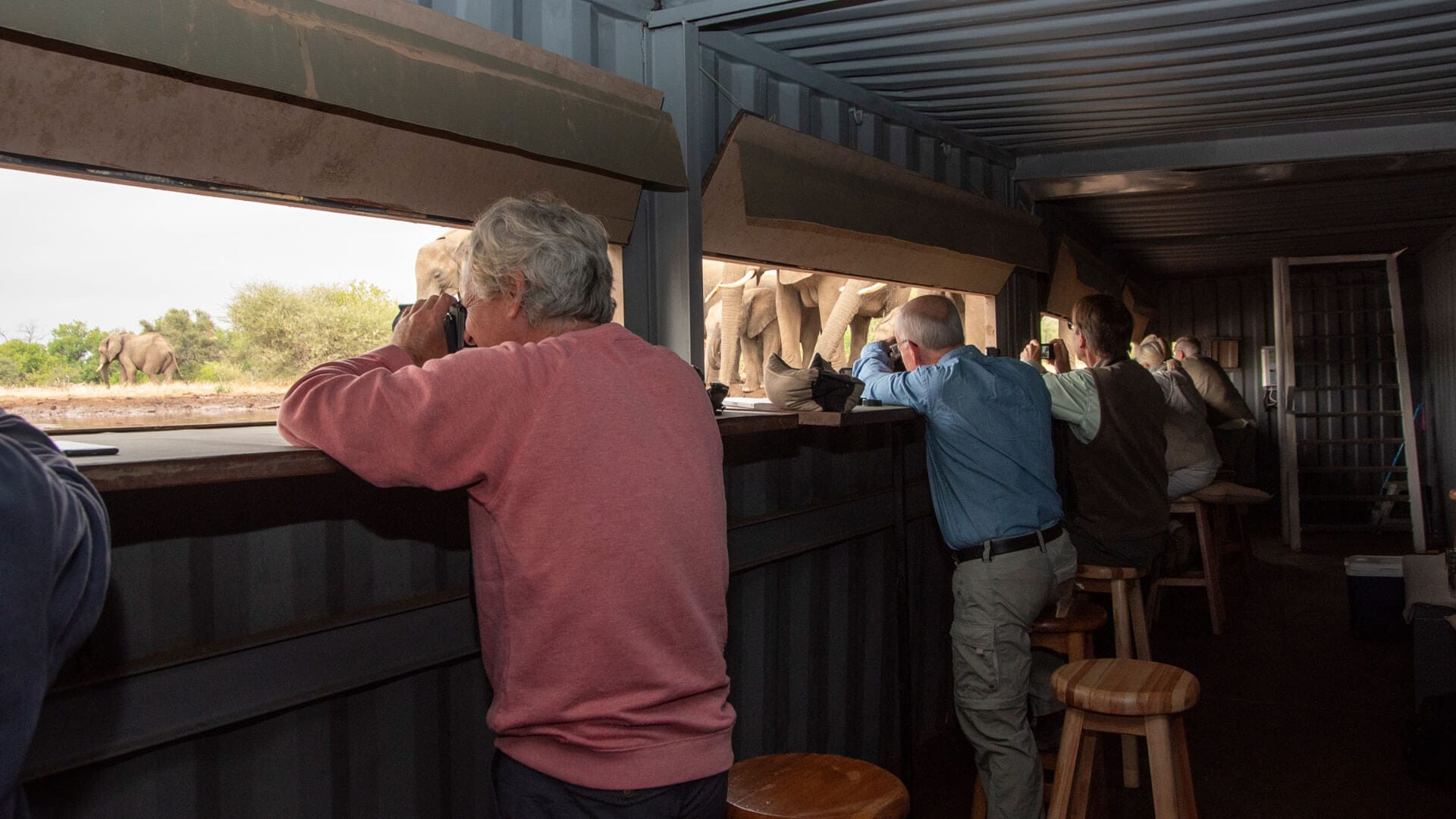 Photographers inside Mashatu’s ground-level hide as elephants approach the waterhole.