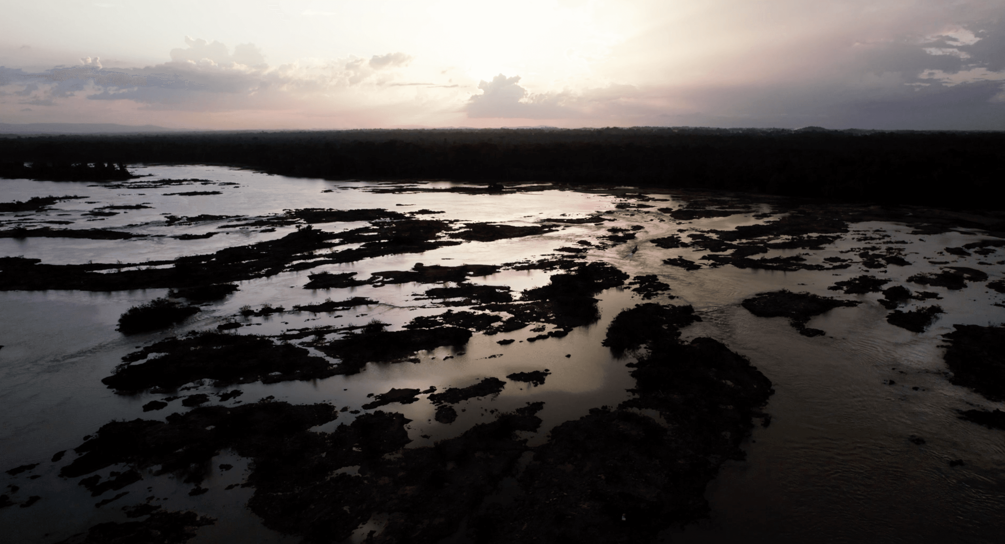 a woman with flowers