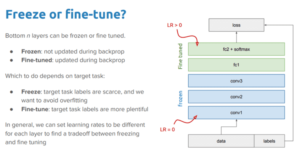 Freeze vs. Fine-Tune in Transfer Learning for Deep Learning