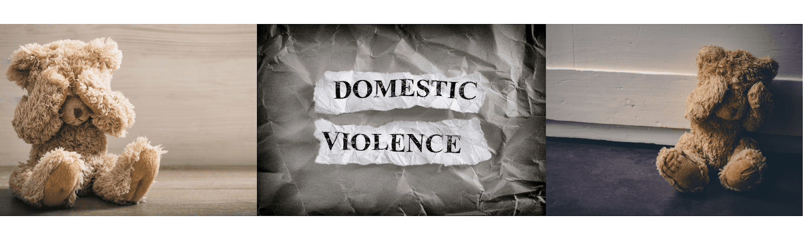 Parallel Parenting After Domestic Violence or Narcissistic Abuse