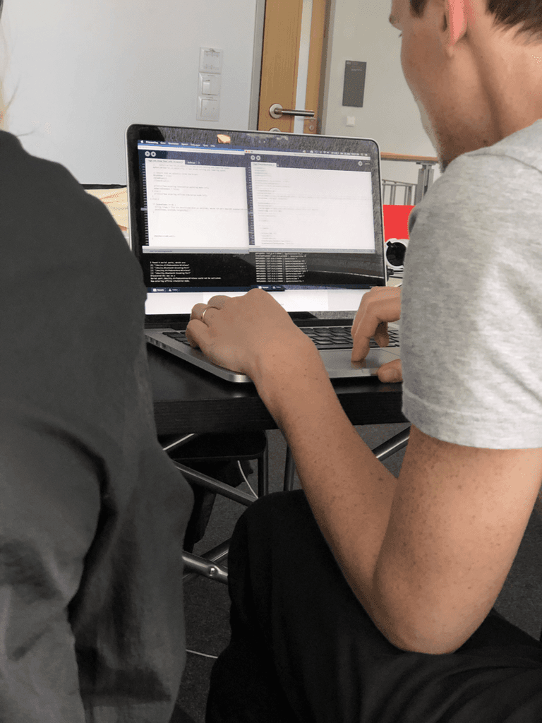 The project managers write the algorithm for Bot-I-Celli in the Processing program