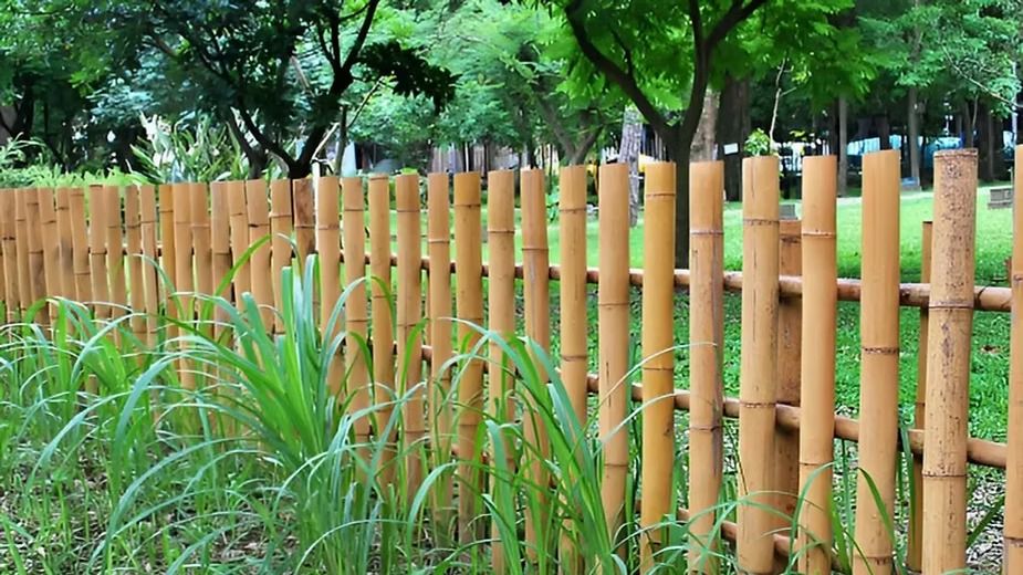 Bamboo Fencing.jpeg