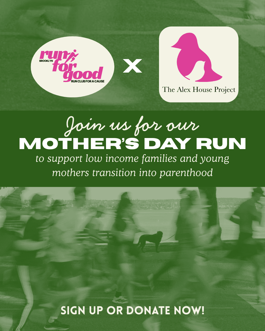 "On May 9th, the day before mother's day, The Alex House Project is running with the run club for a cause, Run For Good, to raise money and awareness for The Alex House Project. The run will take place at 10AM at Grand Army Plaza and consist of a 3 mile run through Prospect Park. Come join us in celebrating mothers and the nice spring weather!