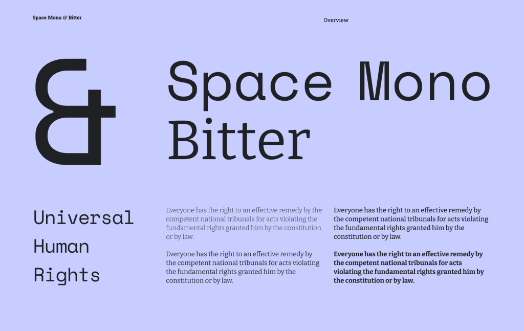 Best fonts for website Space Mono & Bitter