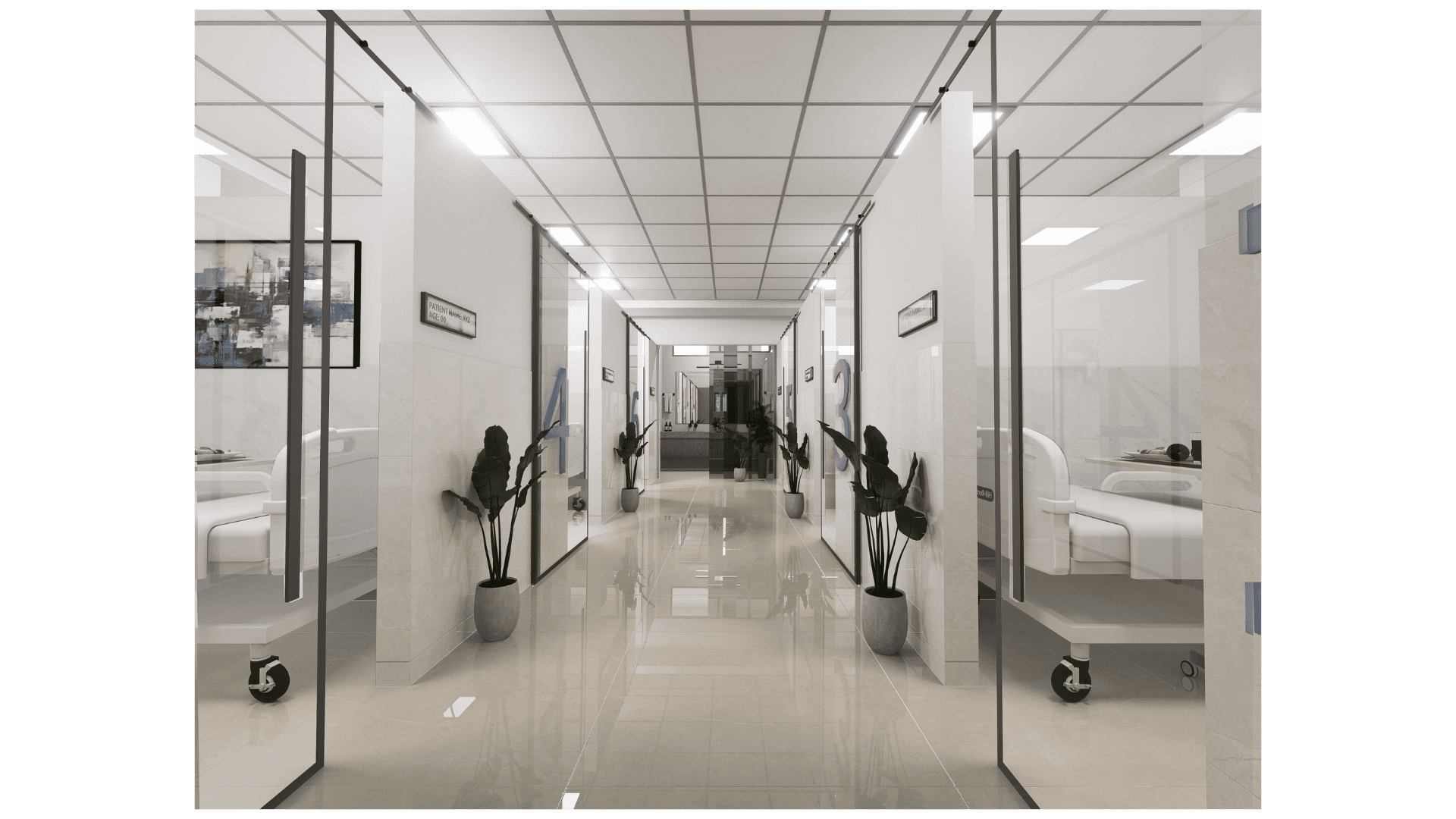 Hospital Beds Chohan Hospital