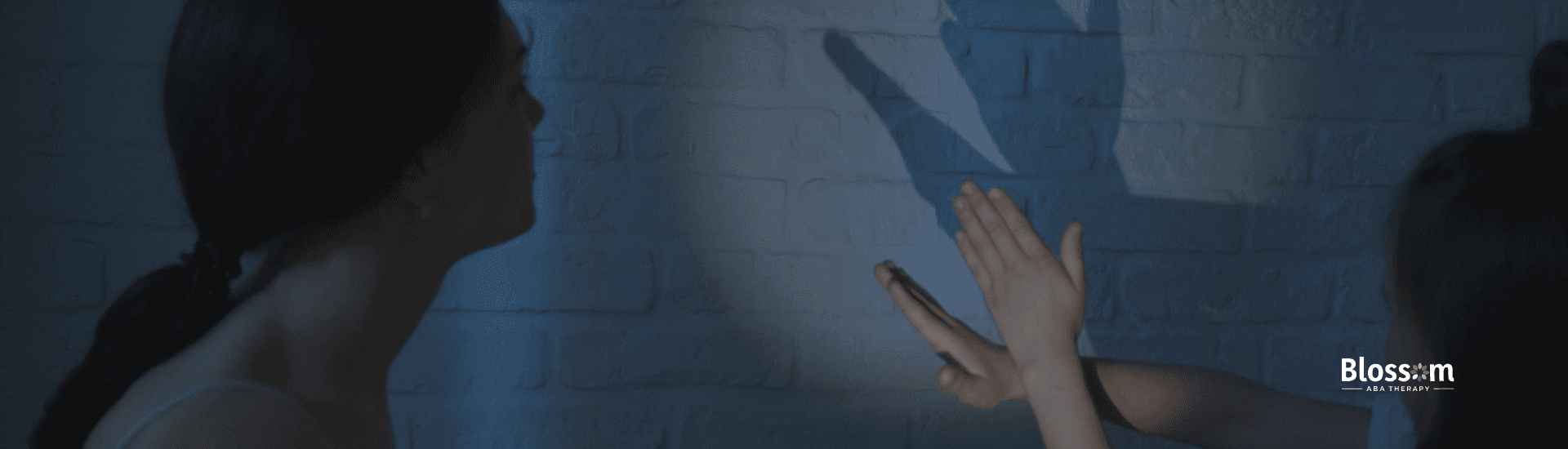 An ABA therapist and autistic child utilizing manding technique by making hand shadows on the wall.