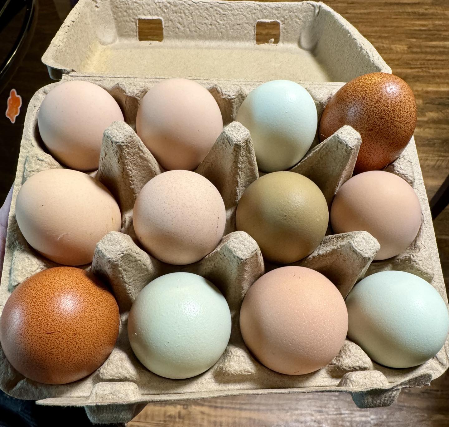 A carton of eggs with various colors