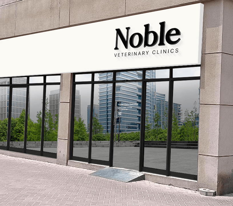 The exterior of our Noble Vet JLT clinic at Jumeirah Lake Towers, Dubai