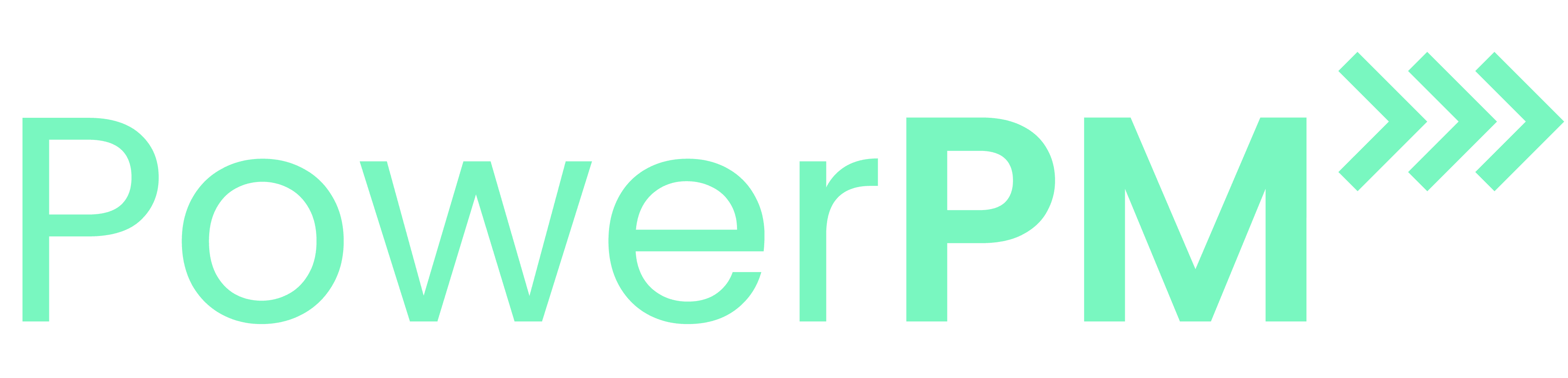 Power Porject Management