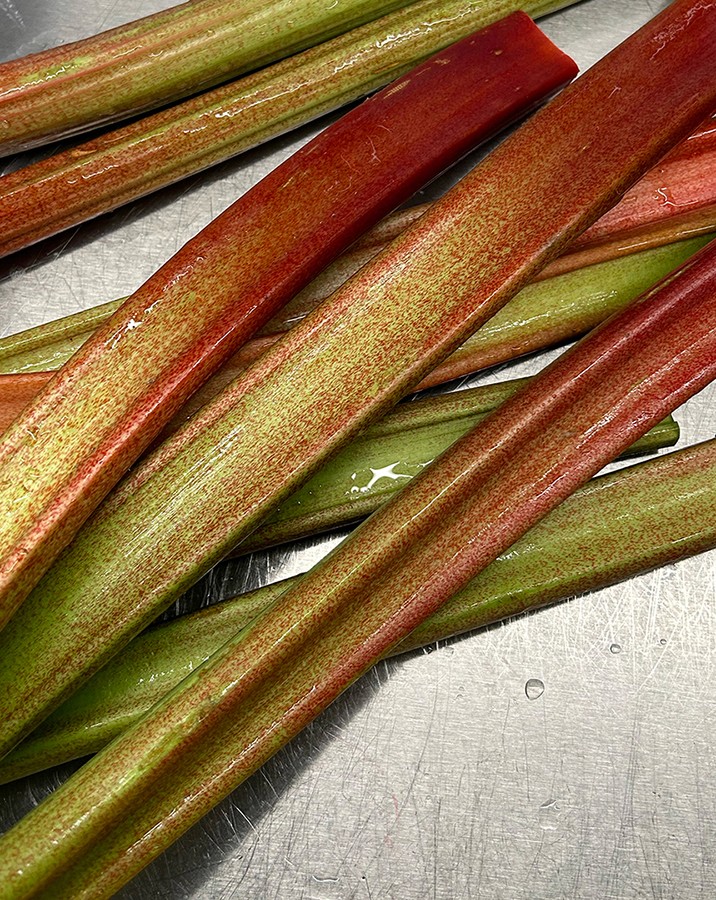 Project Gallery Image for 50% width of the screen #2