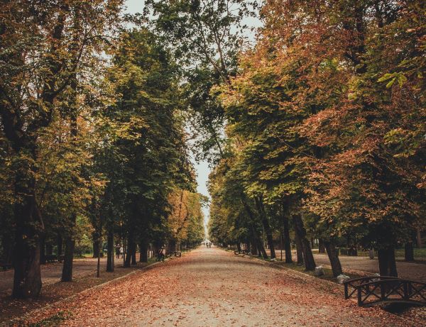 Parcul central din Cluj-Napoca