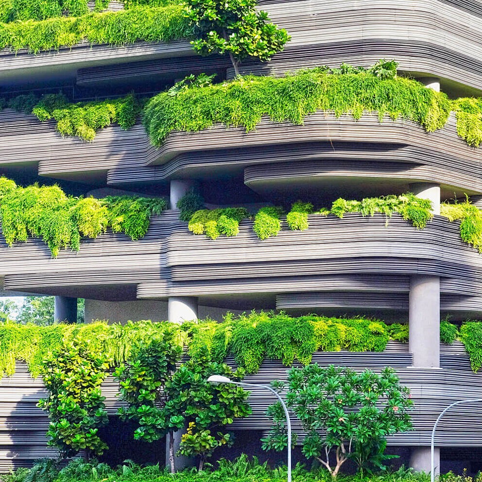 Photo of building with greenery and plants