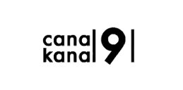 Canal 9 logo