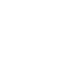 Social Icon