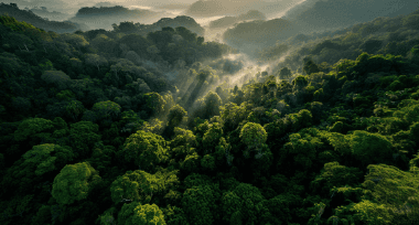 Modern living room with abstract art, beige sectional sofa, indoor plants, and large windows.
