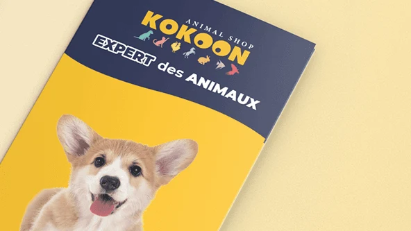 Création de contenus réseaux sociaux, supports print et web pour Kokoon Animal Shop, enseigne spécialisée en produits pour animaux