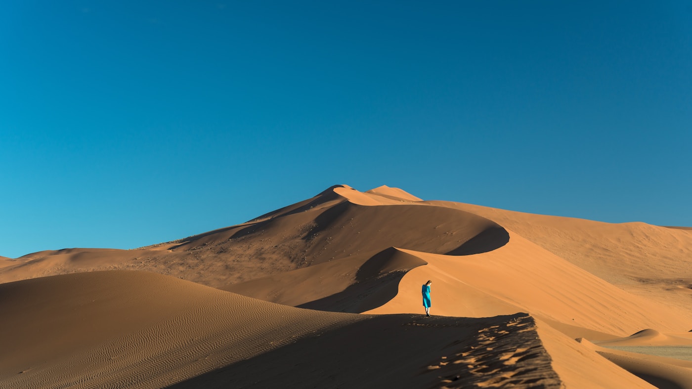 A solo traveller beside a 4x4 looking out over the Namibian desert