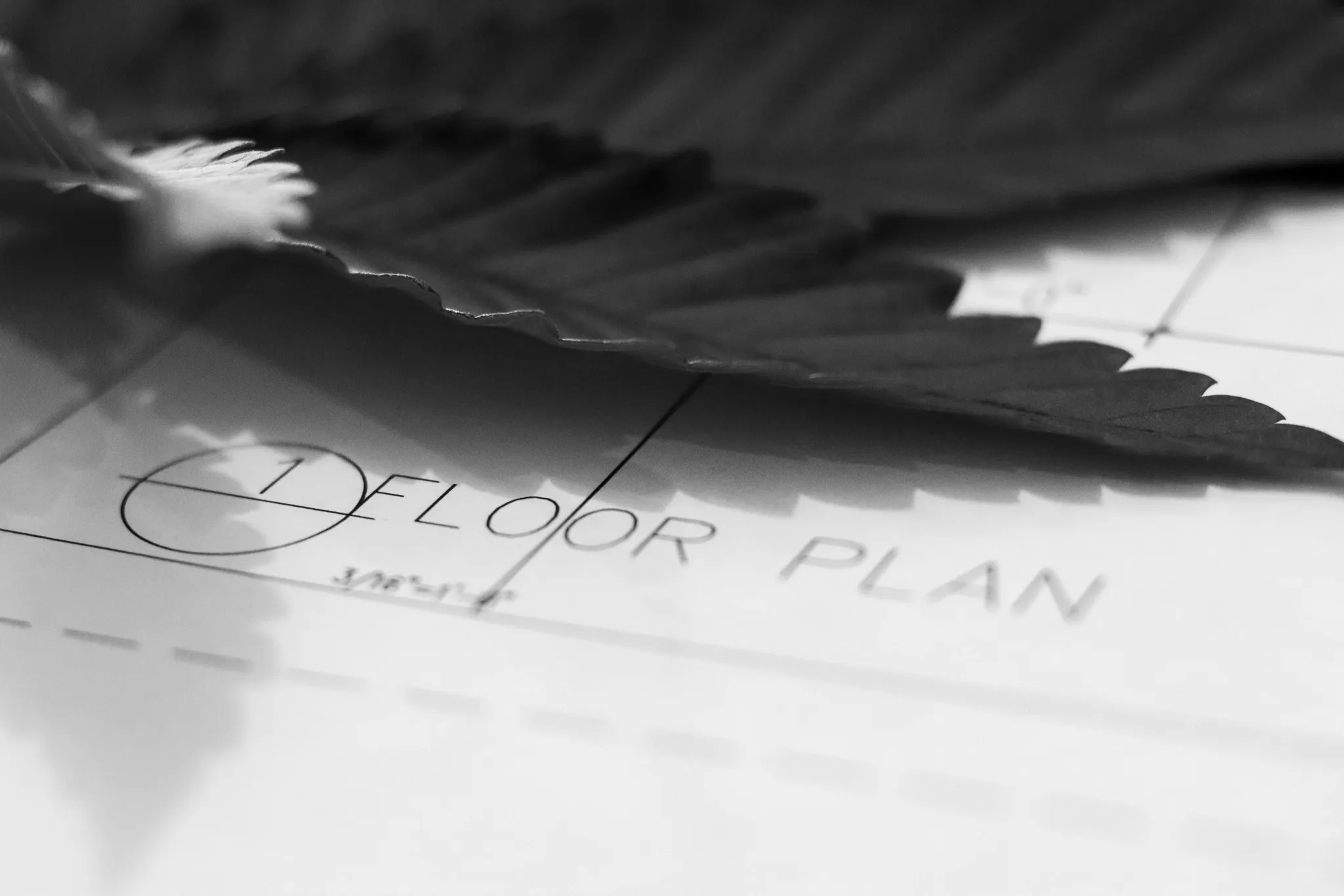 Closeup image showing floorplan and cannabis leaf