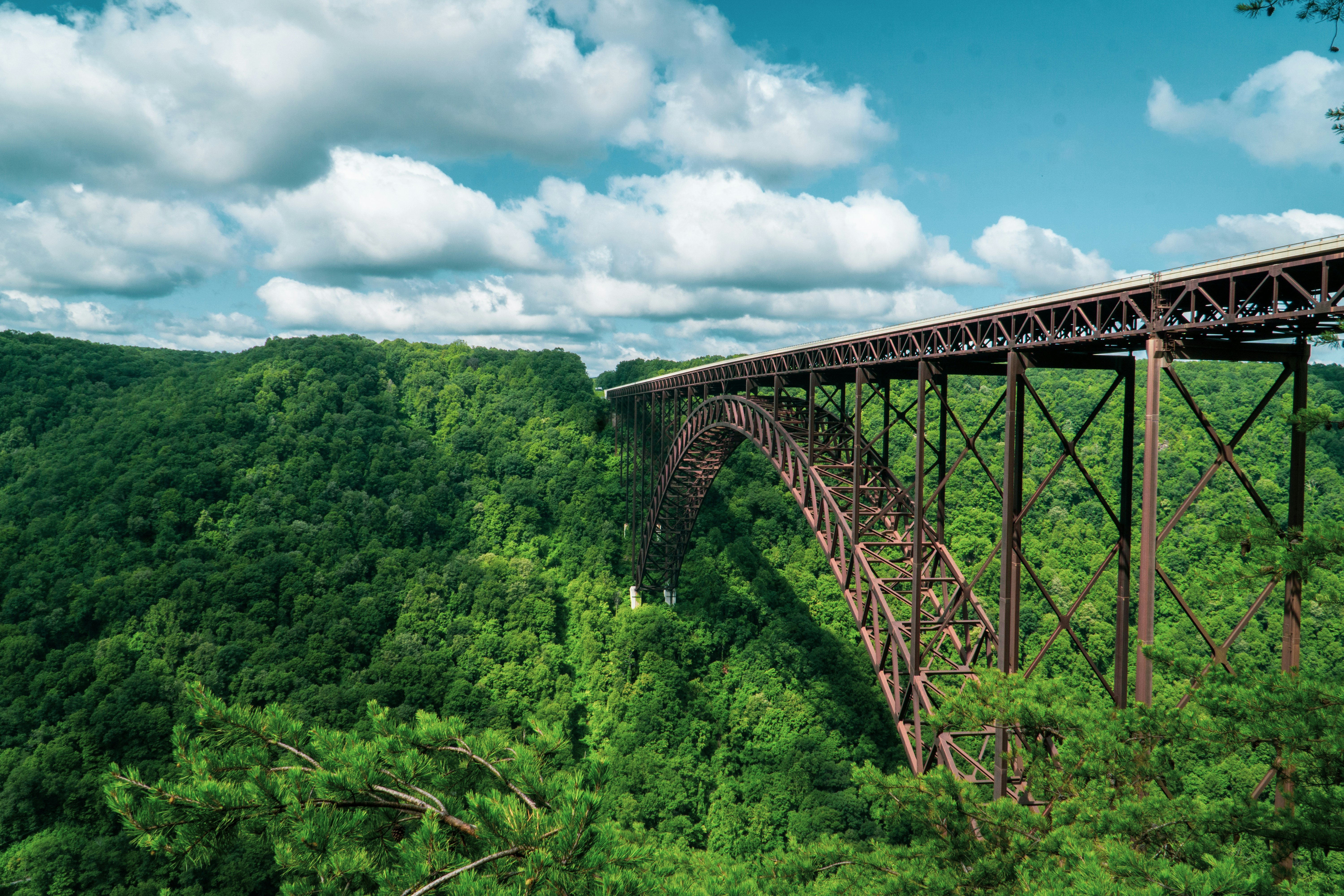 Bridge through greenery