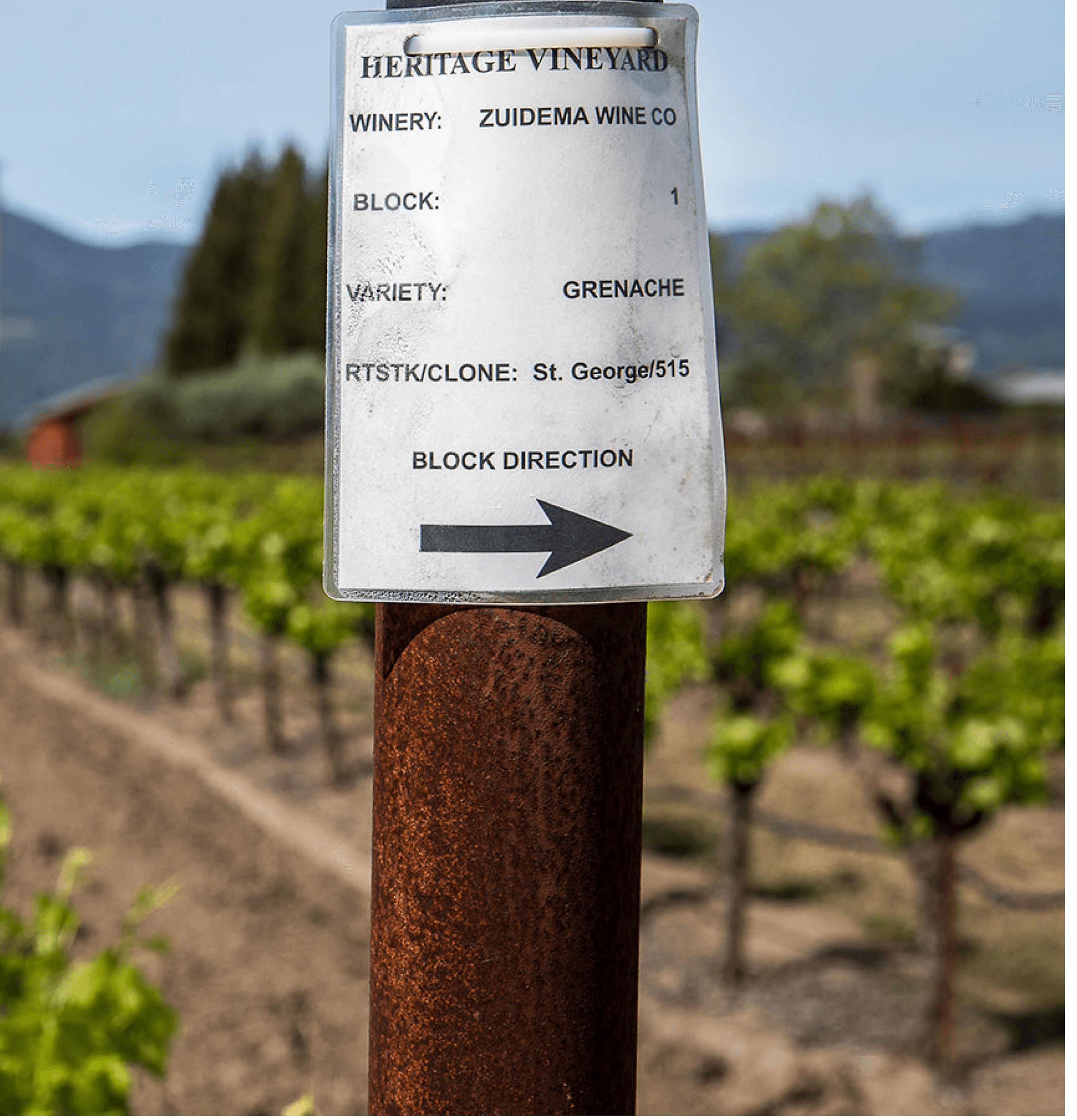 A vine post at Heritage Vineyard in Napa Valley