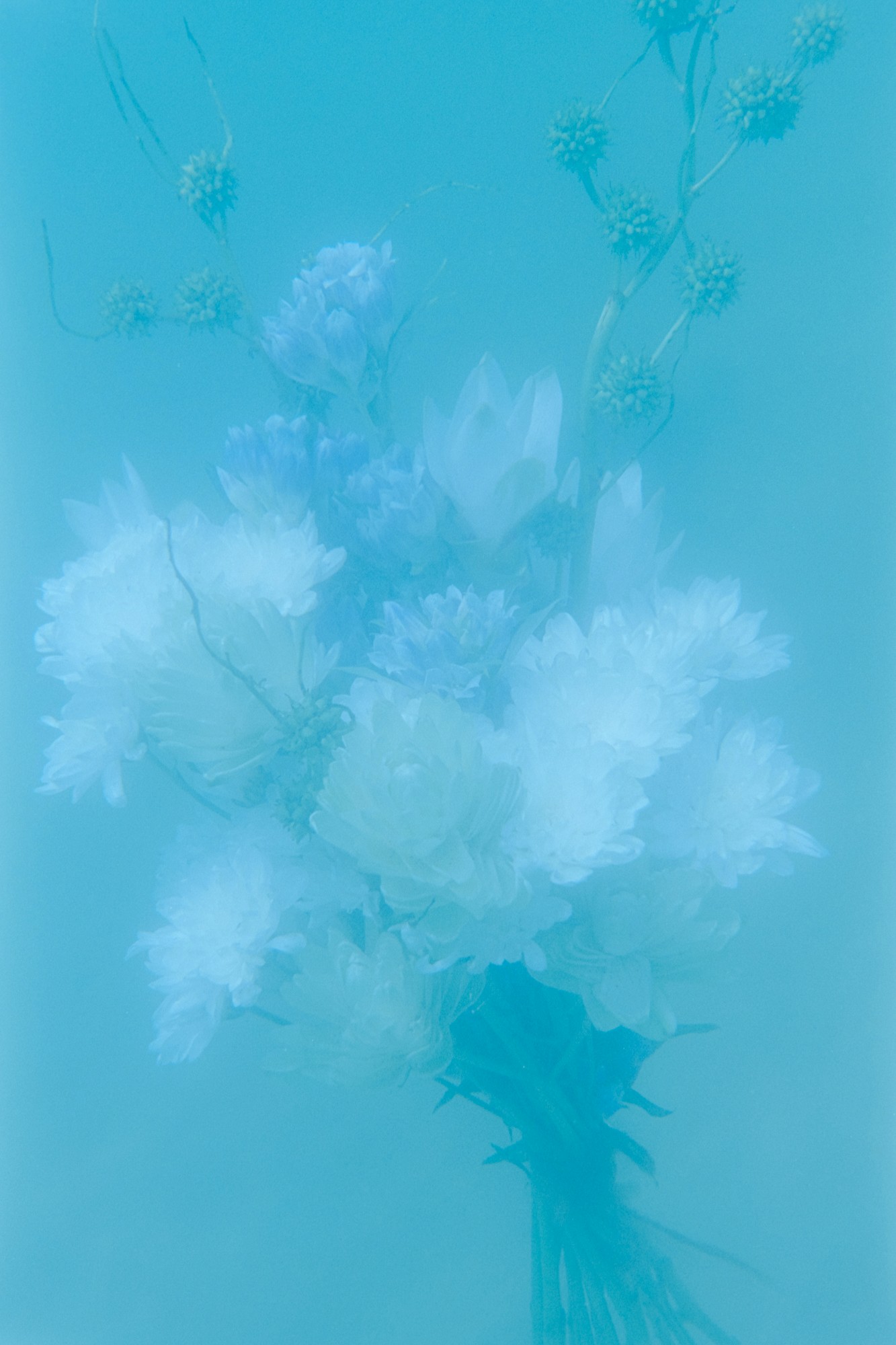 Taisei Matsumoto, 2023 exhibition work 036