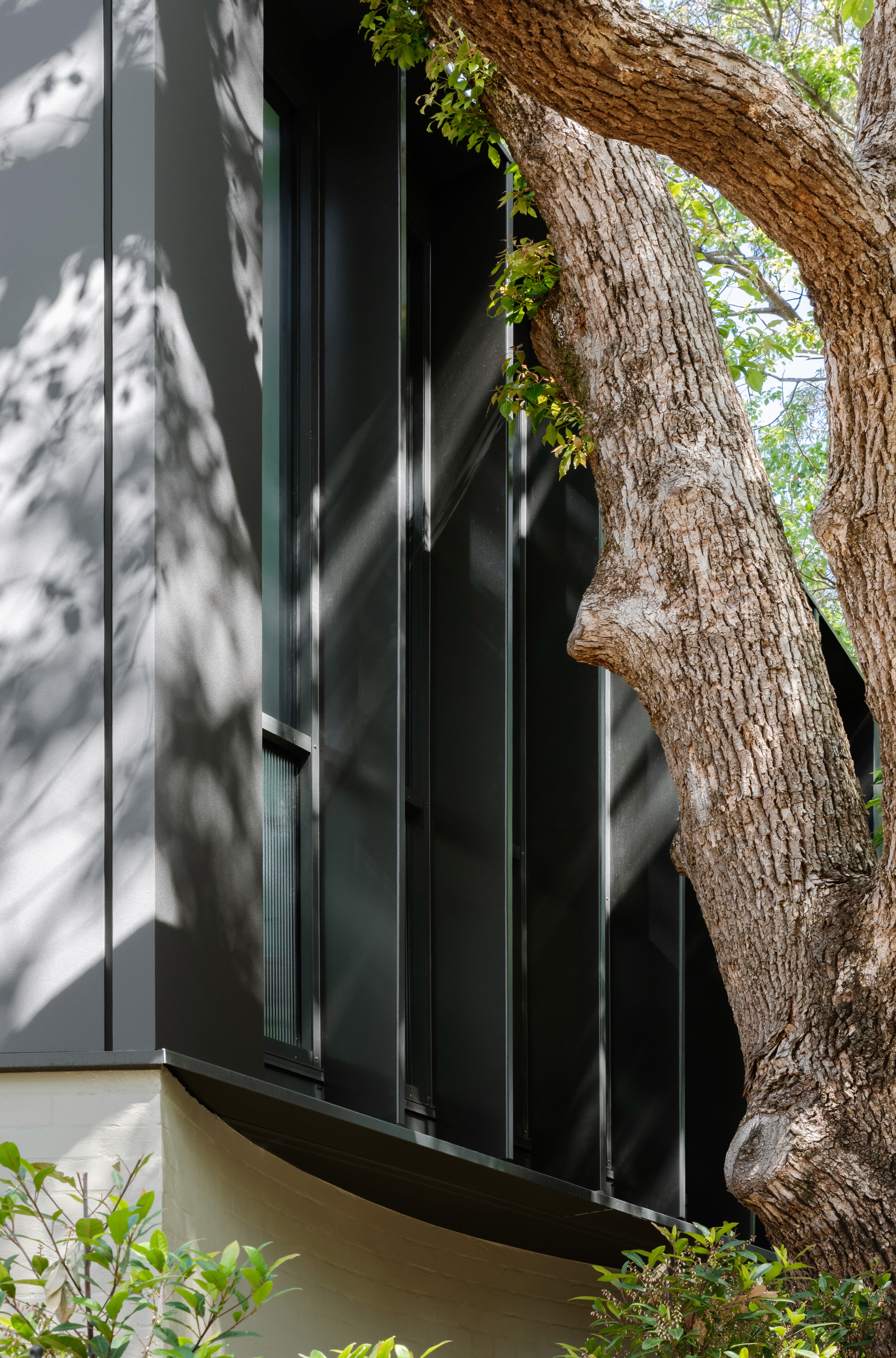 Close exterior view of the Treehouse where black metal cladding meets a retained tree trunk, highlighting the project’s integration with the surrounding landscape.