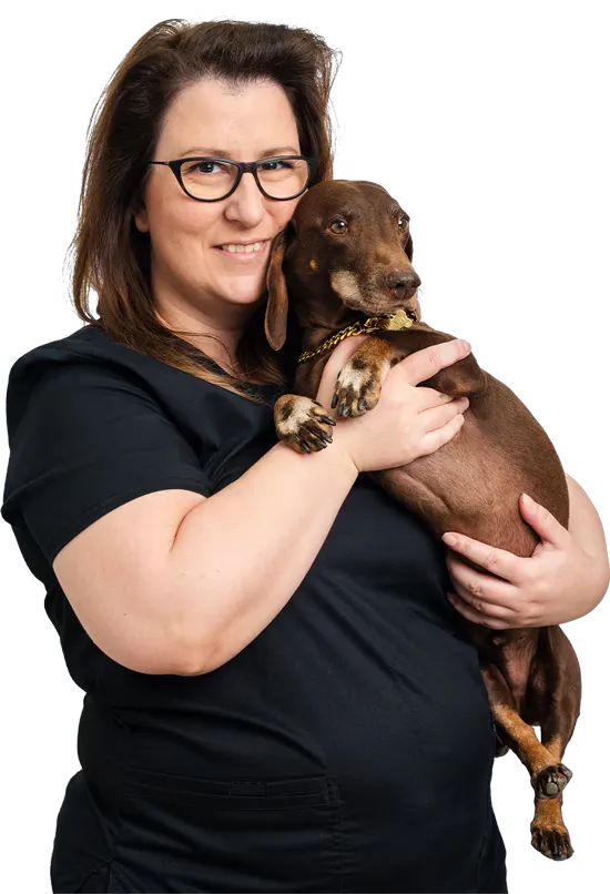 Dr. Lidija Krvavac: Veterinary Surgeon & Medical Director (DIP & JLT Branch)